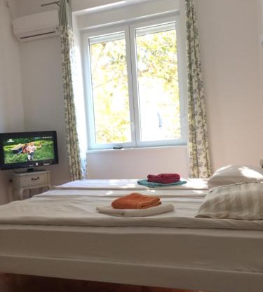 Cricket Park Hostel