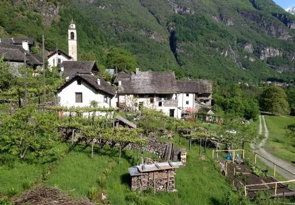 Holiday apartment Cevio for 2 - 4 persons with 1 bedroom - Holiday apartment in one or multi-family