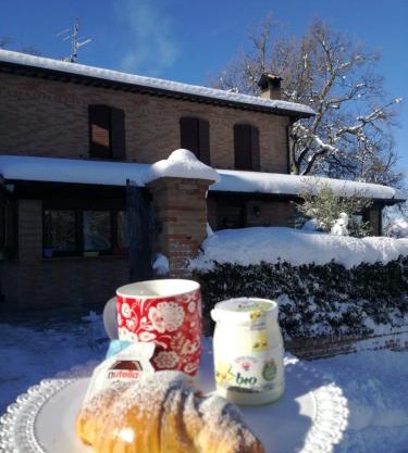 Il Castagneto 