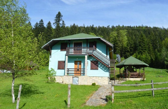 Mystic Forest Hostel