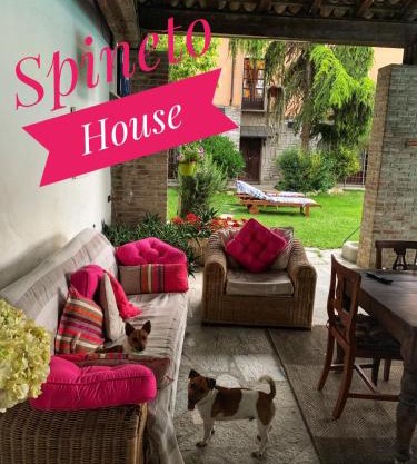 Spineto 