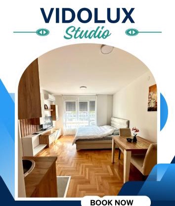 Vidolux Studio