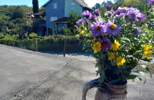 Vikendica Luka Nacionalni park Fruška gora