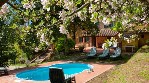 Accommodation Camaiore 