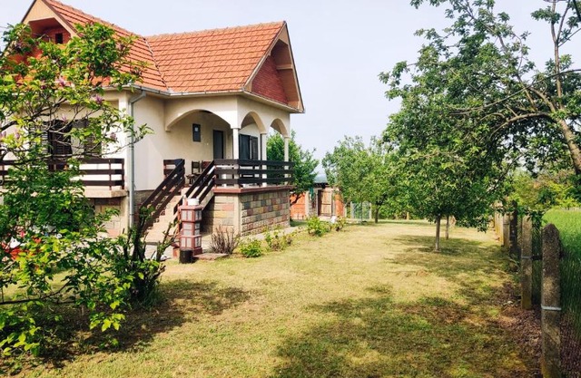 Wonderful house with backyard