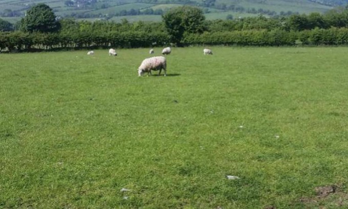Cushendall Bed & Breakfast | 12 m² Bed and breakfast ∙ 3 guests