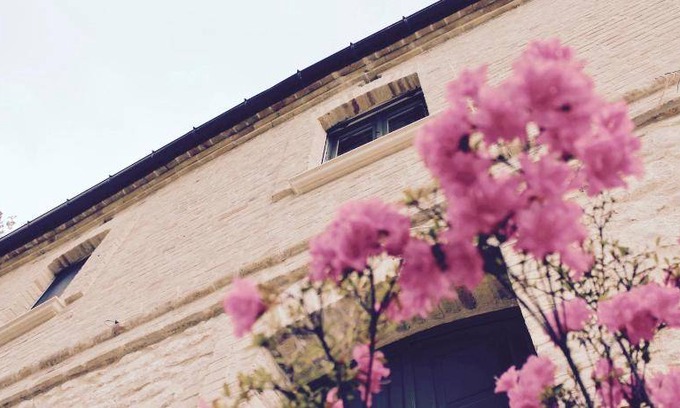 Fara Filiorum Petri Bed & Breakfast | 16 m² Bed and breakfast ∙ 3 guests