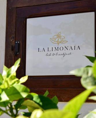 Tollo Bed & Breakfast | 17 m² Bed and breakfast ∙ 3 guests