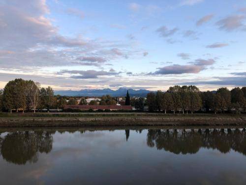 Pisa Bed & Breakfast | 18 m² Bed and breakfast ∙ 2 guests