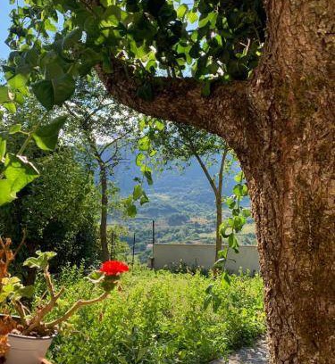 Castel di Sangro Bed & Breakfast | 20 m² Bed and breakfast ∙ 4 guests