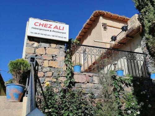 Agouti Hotel | 20 m² Hotel ∙ 4 guests