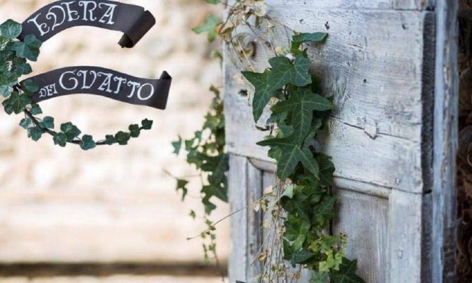 Bertiolo Bed & Breakfast | 25 m² Bed and breakfast ∙ 3 guests