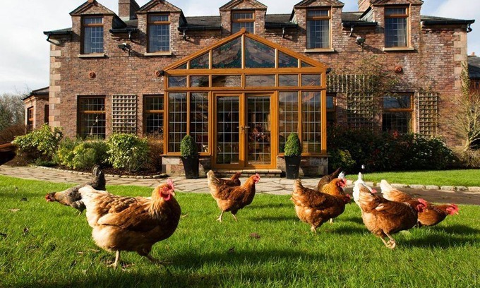 Craigavon Bed & Breakfast | 26 m² Bed and breakfast ∙ 4 guests