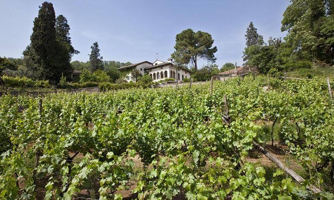 Arcugnano House | 35 m² Farmhouse ∙ 4 guests