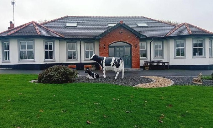 Loughinisland Bed & Breakfast | 36 m² Bed and breakfast ∙ 4 guests