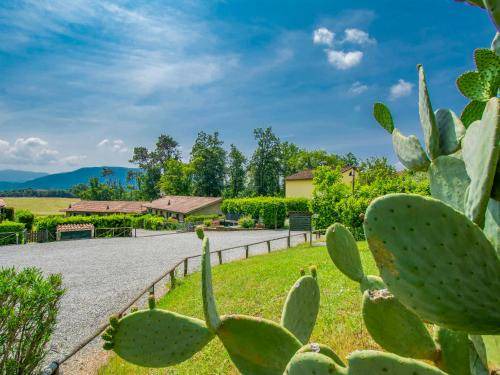 Vicopelago House | 38 m² House ∙ 2 bedrooms ∙ 4 guests