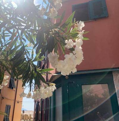 Borgo Antico Apartment | 45 m² Apartment ∙ 2 bedrooms ∙ 5 guests