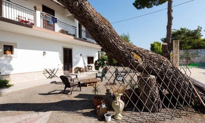 Carrozziere Bed & Breakfast | 45 m² Bed and breakfast ∙ 6 guests