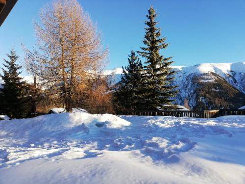 Bellwald Apartment | 46 m² Apartment ∙ 4 guests