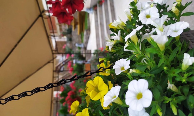 Nis Apartment | 65 m² Apartment ∙ 2 bedrooms ∙ 6 guests