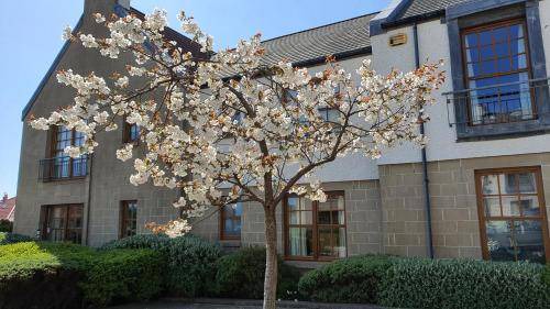 Crail Apartment | 66 m² Apartment ∙ 2 bedrooms ∙ 4 guests