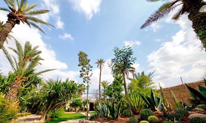 Palmeraie House | All Green house