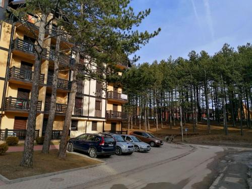 Zlatibor Apartment | Apartman Aleksandar