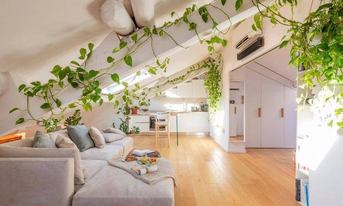 Magenta Apartment | Apartment ∙ 1 bedroom ∙ 2 guests