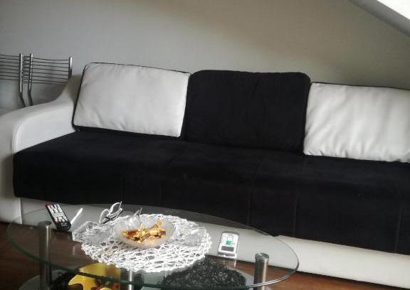 Vrnjacka Banja Apartment | apartment Milijana