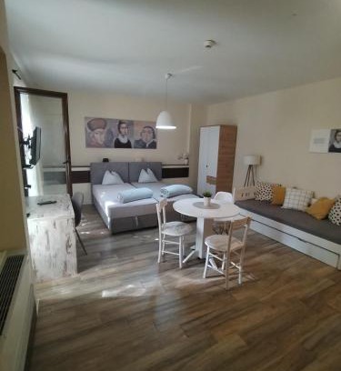 Novi Sad Apartment | Centar Novi Sad Studio No2 PARKING ON REQUEST
