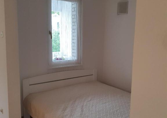 Vrnjacka Banja Apartment | Lazar I Viktor