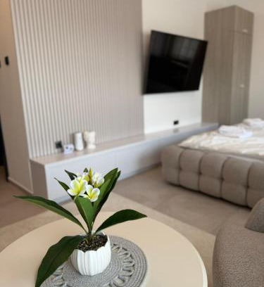 Subotica Apartment | Raj