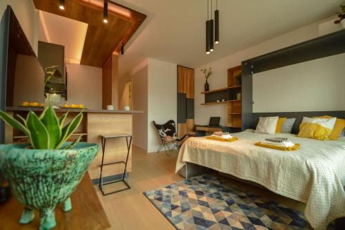 Dorcol Apartment | STUDIO K district (central BG+private parking)