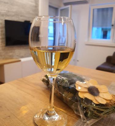 Vrnjacka Banja Apartment | Verona 25
