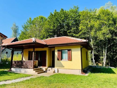 Central Serbia House | Vila Krunica