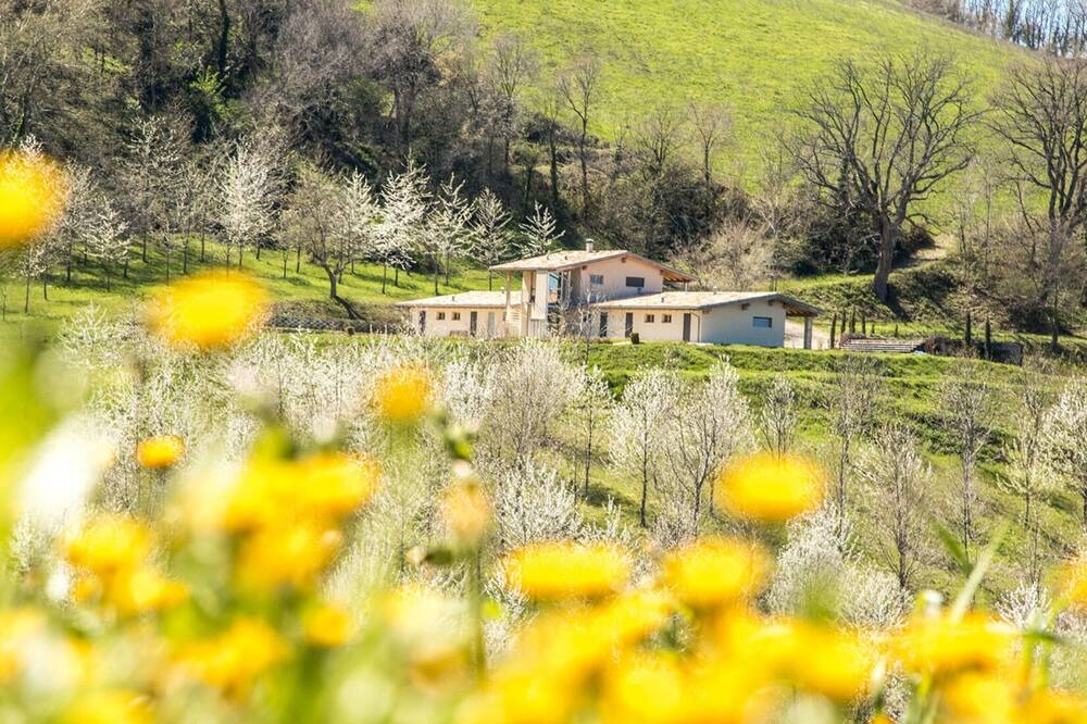 Falerone Villa | Villa Zen - Villa Zen