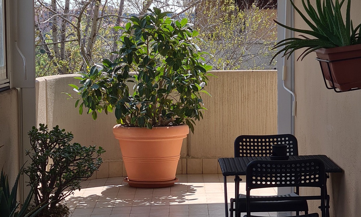 Rome Province House | Holiday Home 'Rooms and Comfort Apartment' with Shared Garden, Wi-Fi and Air Conditioning