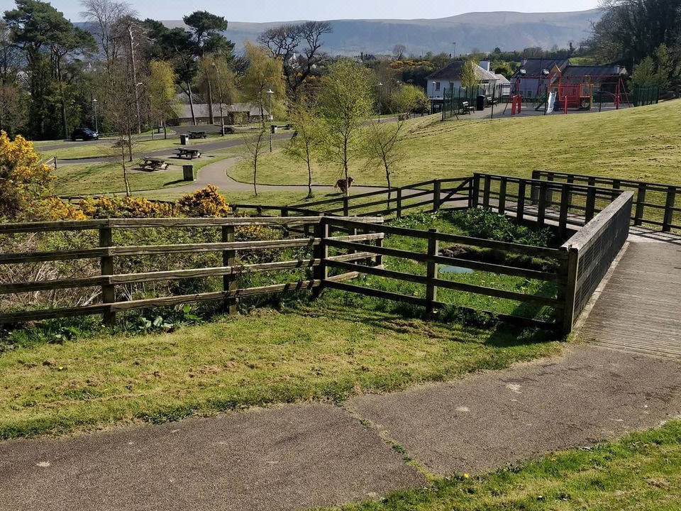 Photo of Others in Cushendall