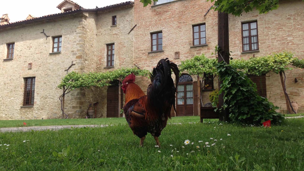 Photo of Buildings in Piosina