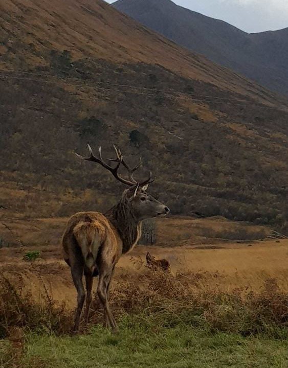 Photo of Outdoor in Arduaine