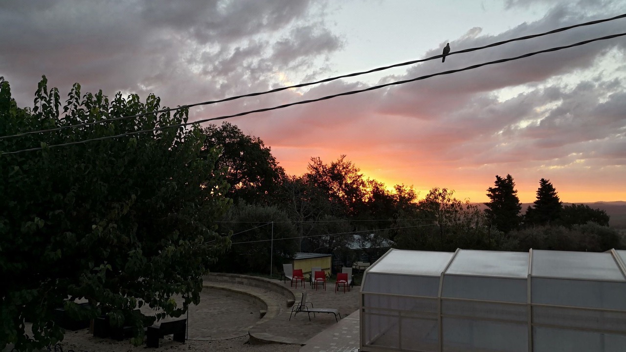 Photo of Others in Pollenza