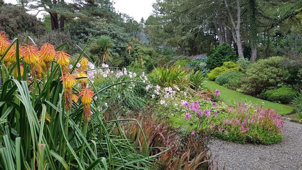 Photo of Outdoor in Arduaine