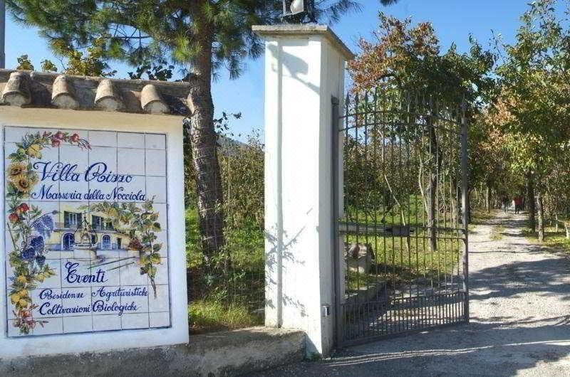 Photo of Buildings in San Cipriano Picentino