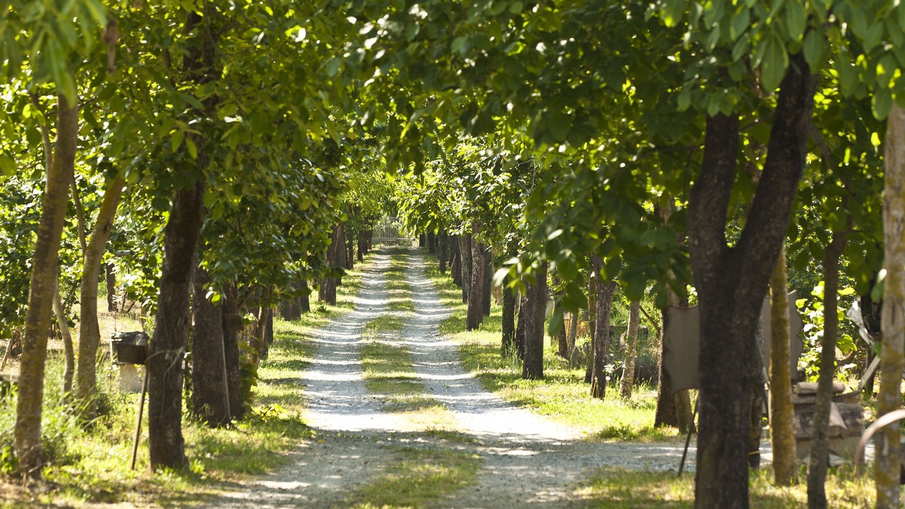 Photo of Outdoor in San Cipriano Picentino