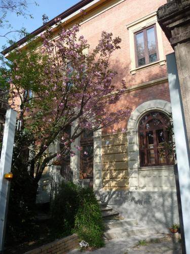 Photo of Others in Saragozza-Porto