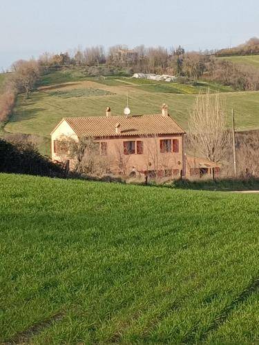 Photo of Buildings in Cerasa
