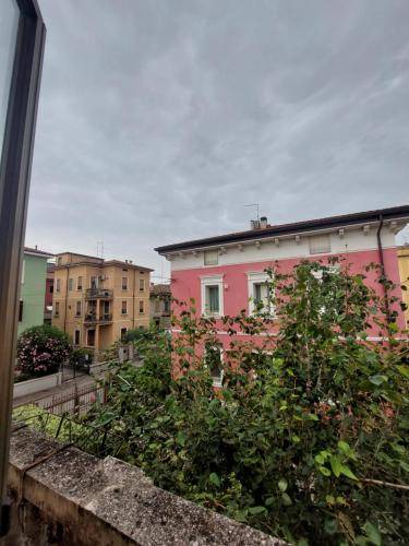 Photo of Others in Cittadella