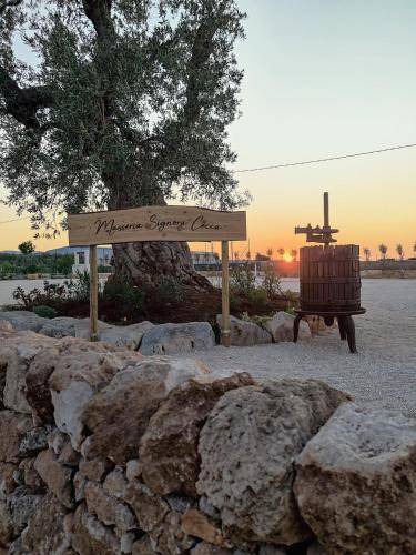 Photo of Buildings in Fasano