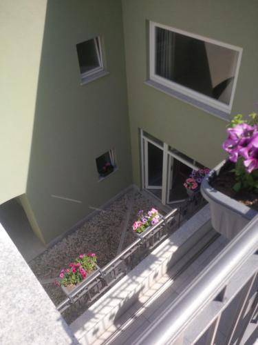 Photo of Others in Omegna