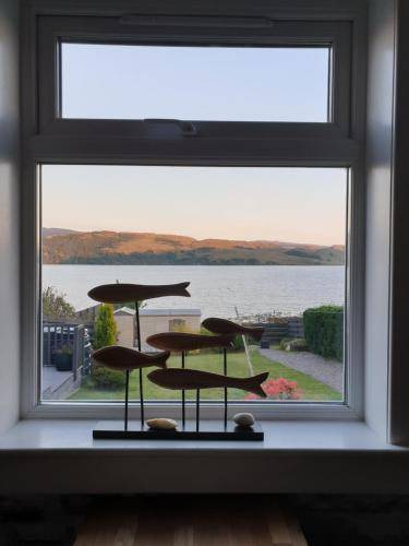 Photo of Others in Inveraray